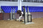 SBM_000183