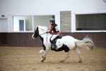 SBM_001689