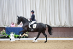 SBM_006237