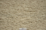 230819A-124430-00503