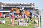 BPP_7196
