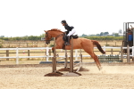 SBM_004377