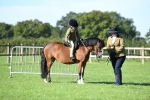 SBM_36767