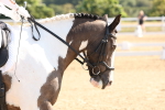 SBM_002794