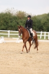 SBM_00533