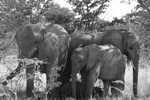 NAM_01_102