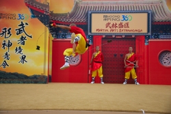 KM-380 Shaolin monks Kung Fu show at Po Lin Monastery