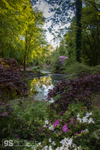 Portmeirion gardens