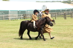 SBM_05237
