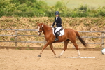 SBM_002294