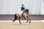 SBM_001932