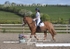 BPP_5548