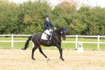 SBM_002956