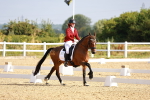 SBM_008187