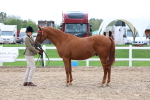 SBM_04484