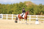 SBM_011860