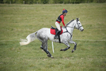 BVHT 140517  IXC -339