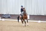 Class 4 - FEI INT I portfolio