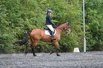 WJ7_5734