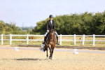 SBM_008575