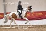 BPP_9086
