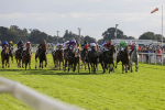 230923-Race 5-Vintage Clarets-5376