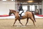 BPP_8440