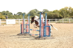 SBM_000672