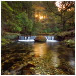 The Crossing, Tollymore Forest (IMG0688)