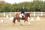 SBM_001320