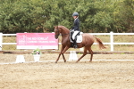 SBM_003971
