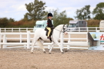 SBM_15929