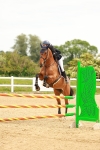SBM_000651