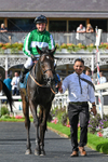 060926-Race 4-Stoneacre Donny-8102