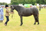 SBM_04073