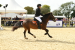 SBM_69189