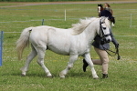 SIAL6430