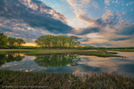 Rachel Carson Wildlife Refuge