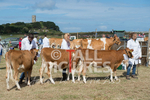 West Show_2014-7