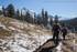 Wilcox Pass