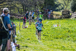 The Finish-1220