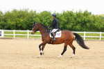 SBM_005708