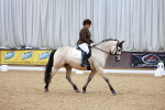 SBM_000223