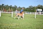 DSC_5255
