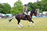 SBM_02620