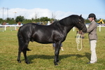 DSC04996