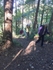 035 With paths through shimmering woodland.