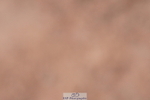 240505A-112022-05254