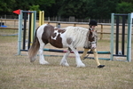 WJ6_8560