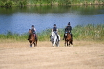 WJ6_8301